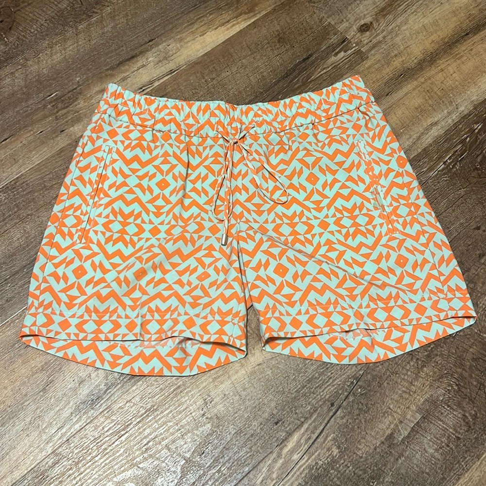 The Limited Elastic Band Pattern Shorts
